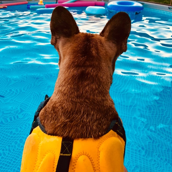 Meet your Posher, Tracy - Picture 13 of 15